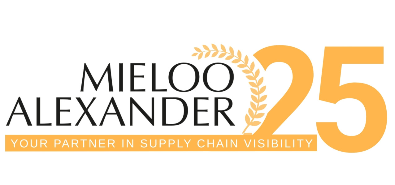 Company 25 Year Anniversary – Brand Celebration Banner