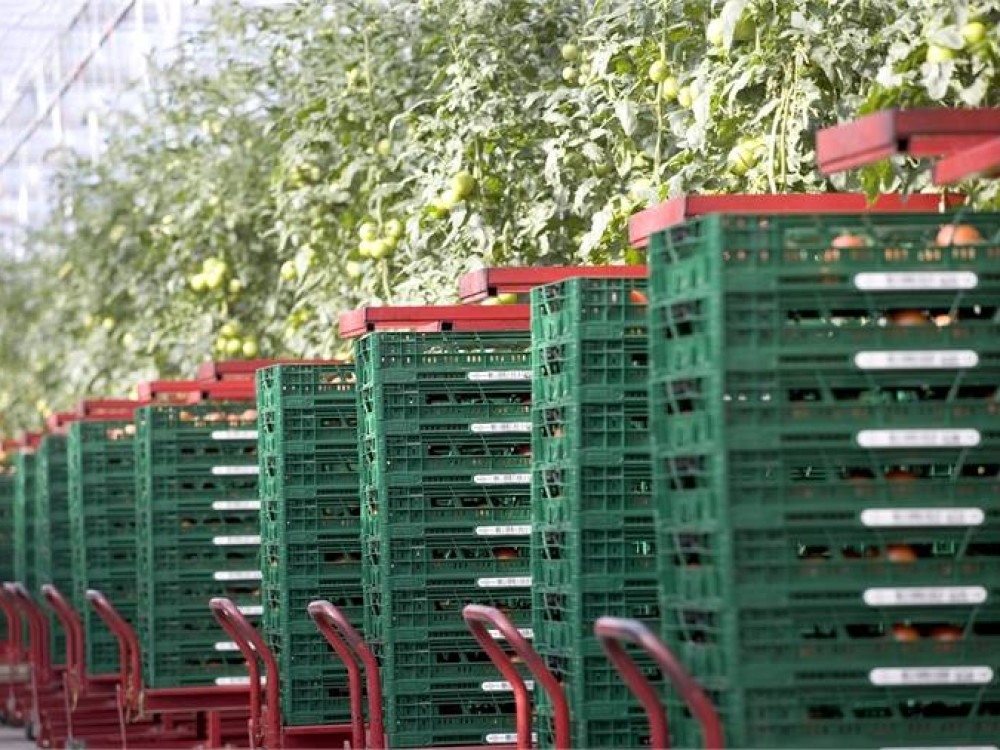 Europool Returnable Packaging Logistics