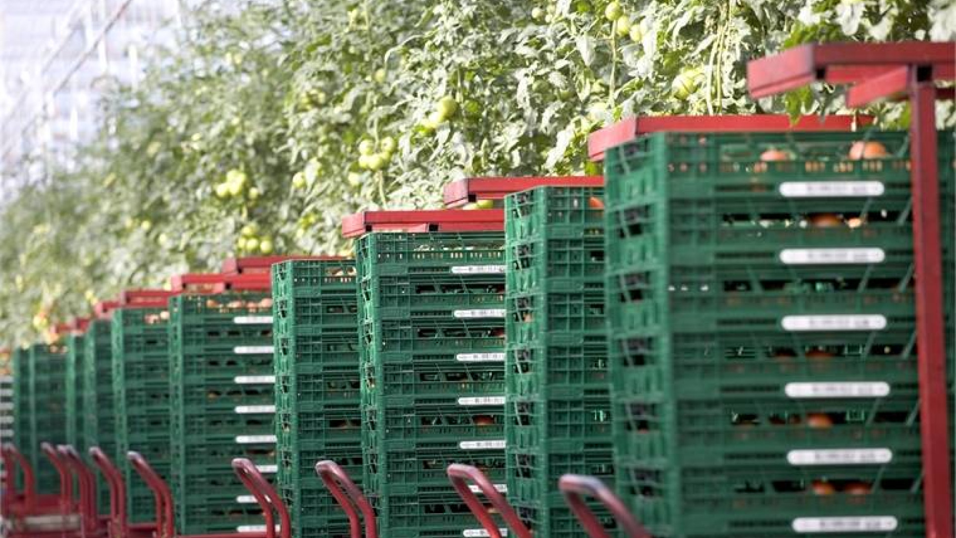 Europool Returnable Packaging Logistics