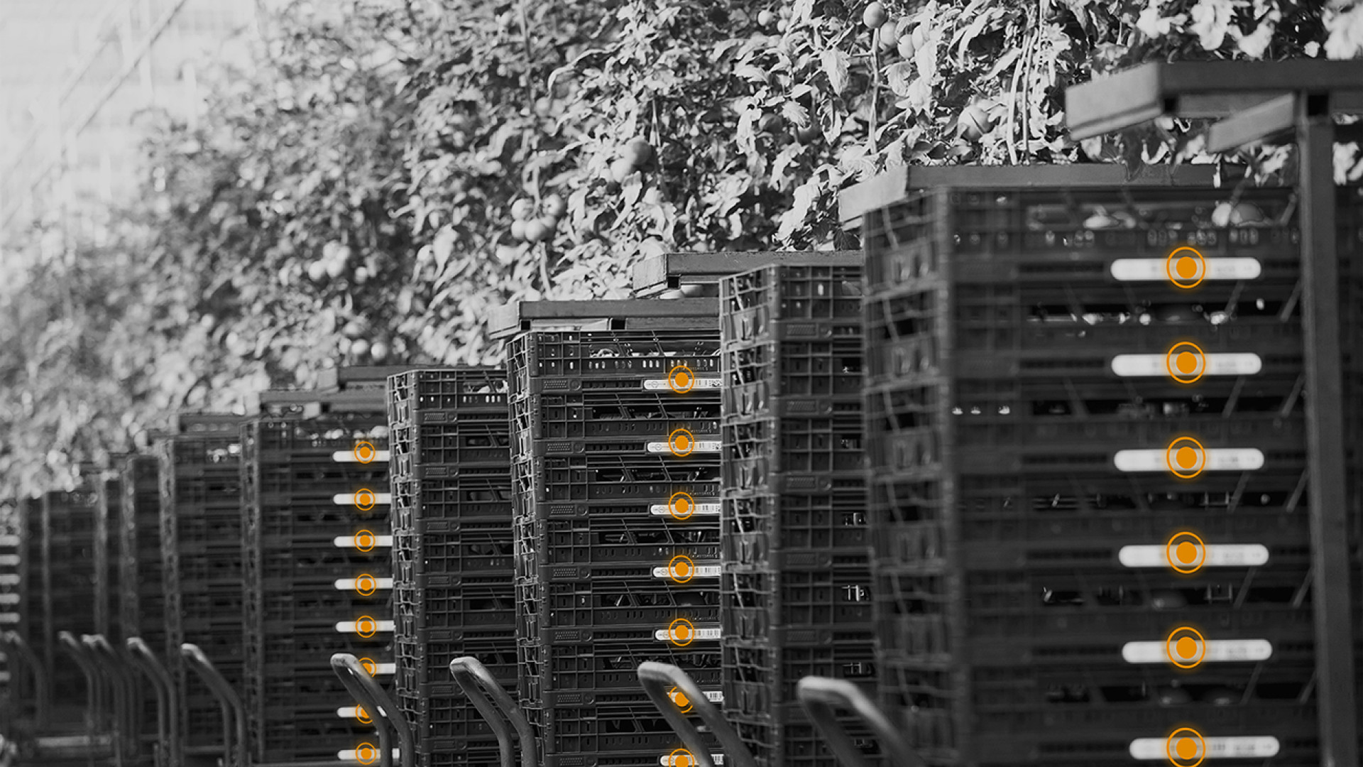 RFID Asset Tracking Infrastructure