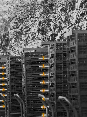 RFID Asset Tracking Infrastructure